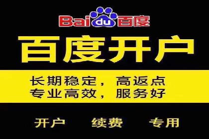 SEM公司案例分享：优化效果与转化率提升策略